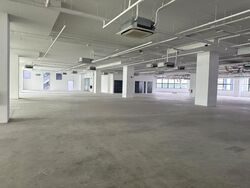 J'forte (D19), Factory #582803441